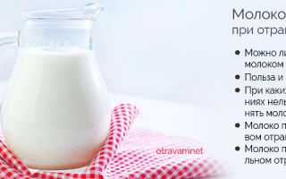 Полезно ли молоко: мнение эксперта
